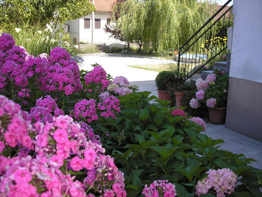 Guesthouse Vila Slunj Eksteriør bilde
